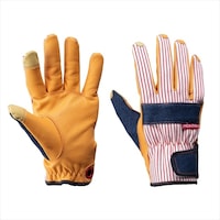 �c�l�|�S�@�f�j�~�X�g�z�r�[�@���b�h�@�r