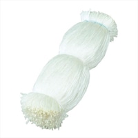 �o�o�V�[�g�p���[�v�@�P�O�O�O�{�@�U�O����