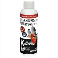 ���{���@�L���M���@�P�T�O����