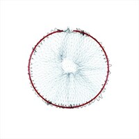 �A���~���E���h�t���[���U�O�O�i�q�c�j