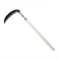 �Ԃ̗F�@�S�|���|���T�O�O������