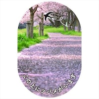 �X�����|�T�|�|�g�@�t���A�V�|�g�@�r�r�e�|�e�k�P