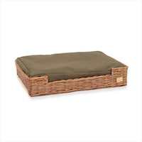 �˂��x�b�h�o�C�W�A�����O