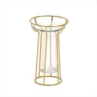 �t���[�g�K���X�t�����[�x�[�X�r