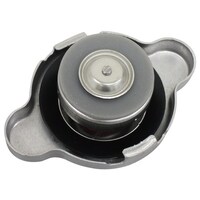 ���W�G�[�^�[�L���b�v�E����