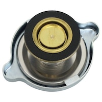 ���W�G�[�^�[�L���b�v�E����