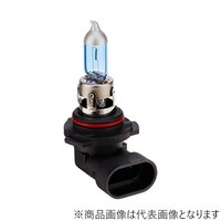 �n���Q���o���u�@�S�R�T�O�j�@�Ԍ��Ή��@�z���C�g�@�W