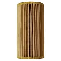 �A���ԗp�I�C���G�������g