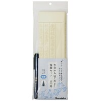 ��������͂��߂�I�ʌo�Z�b�g�@����p�~�T