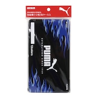 �F���M�i�P�Q�F�j�ʃP�[�X���~�U