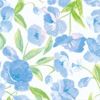 ����@�r���b�v�@�p�b�V�����@�~�P�O�O