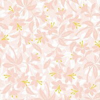 ����@�e�c���b�v�@�e�B�i�~�P�O�O