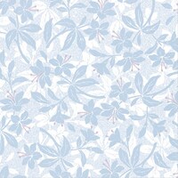 ����@�e�c���b�v�@�e�B�i�@�~�P�O�O