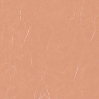 ����@�a���b�v�@���_�@�ׂ񂪂�@�P�Z�b�g�i�P�O�O���~�T�O�j