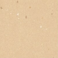 ����@�a���b�v�@�؂̉ԁ@����~�T�O