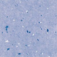 ����@�a���b�v�@�Ԃ����ˁ@�����@�P�Z�b�g�i�T�O���~�T�O�j