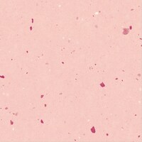 ����@�a���b�v�@�Ԃ����ˁ@�ׂɁ~�T�O