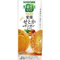 ��ؐ����P�O�O�@�{���̈�i�@���Q���Ƃ����|���J���~�b�N�X�@�P�X�T�����@�Q�S�{