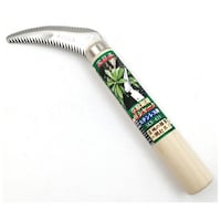 ����{�@�X�e�����拘���@�v�V���[�N�@�r�j