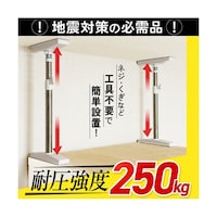 �X�e�����X�@�Ƌ�]�|�h�~�@�˂�����_�@�r�@�P���i�Q�{���j�@�n�l�b�|�c�o�d�o�O�P�r