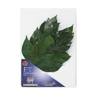 �͂�Ȃ���@��T�C�Y�@�v���U�[�u�h�t����