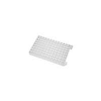 �A�L�V�}�b�g�X�U�ی^�E�F���X�g���[�W�p�@�P�P�[�X�i�P�O�~�T�p�b�N���j�@�`�l�|�Q�l�k�|�q�c