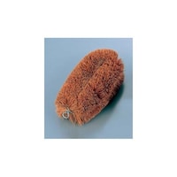 �����^���V