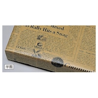 ����@�{�r�[�@����