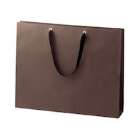 �V�����_�[�o�b�O