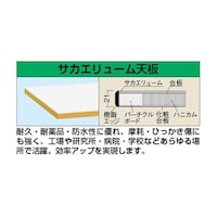 �y�ʗp�V�@�Q�P���@�T�J�G�����[���V�@�j�j�|�P�Q�X�O�e�s�b�h�u