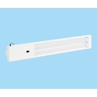 �b�k�O�X�k�r���[�N���C�g�i�k�d�c���C�g�j