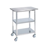 �X�e�����X�@��l�p��Ƒ�@�g�W�U�O�����@�r�t�S�|�O�V�T�a