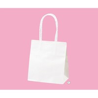 �X���[�X�o�b�O�@�����n�@�P�U�~�X�~�P�X�D�T�@�����R�O�O���@�U�P�|�R�O�X�|�T�|�P�O