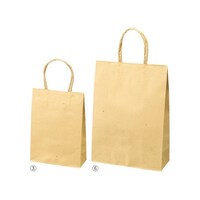 �X���[�X�o�b�O�@�i�`�������@�Q�U�~�P�O�~�R�U�@�R�O�O���@�U�P�|�R�O�X�|�V�|�P�S