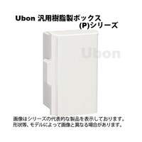 �o�P�U�|�Q�T�S�`�|�t�@�ėp�������{�b�N�X