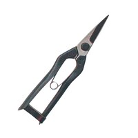 ���t���@�a�o�@���Q�O�V�a