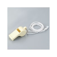 �R�V�V�|�V�O�z�C�b�X���i�v���X�`�b�N���j