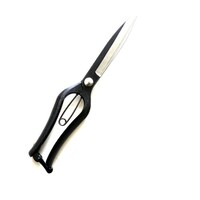 �ő������@�Q�V�O�����@�m���D�r�k�|�P�O