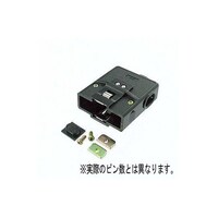 �o�P�U�P�U�`�b�i�T�O�j�@�P�[�X