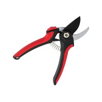 �C�[�W�[�O���b�v�������@�d�f�r�|�P�O�O