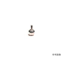 �Y�f�n�ϒ�R��q�u�Q�O�x�m�^�@�P�O����