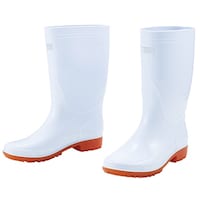 �q�����C�@���@�Q�X�D�O�����@�r�S�Q�O�W