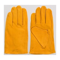 ���{���܁@���@�k�@�P�P�[�X�i�P�O�o���j�@�T�W�Q�P