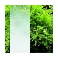 �r�g�Q�e�f�h�l�P�Q�V�O�����w�R�O�l�t�B����