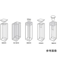 �u���^���f���^�~�L�V���O�Ήp�Z���@���H���F�Q�~�P�O�����@�Q�~�R�D�T�O�O���k�@�T�T�|�P�^�p�^�P�O