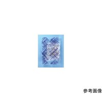 �V���J�Q���@�o�o��@�����p�b�N�@�T���@�P�Q�T�O�O�Z�b�g�@�m�j�|�o�o�T�|�T