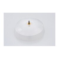 �O�Q�O�W�T�R�P�@���˕Ԃ�K�[�h