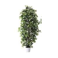 �����؁i�l�H���؁j�@�g�Q�P�O�����@�x���W���~���O���[���@�U�P�|�V�T�S�|�X�T�|�P