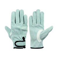 �����v�w�D����܁@�΋Z�@�b�r�|�V�V�V�@�l�@�b�r�|�V�V�V�@�l