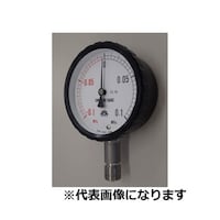 ���`�A���v�@�`�`�@���͔͈́i�l�o�`�j�F